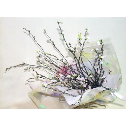 桜の花束　啓翁桜 桜 桜の枝 花枝 東海桜 彼岸桜 大島桜  紅彼岸桜　【切花】【生花】【資材】さくら　サクラ |  | 01
