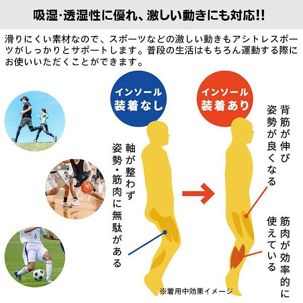 BMZ ビーエムゼット インソール アシトレ スポーツ 足トレ 筋トレ 浮き指 ウォーキング 散歩 通勤 通学 日常 O脚 扁平足 腰痛 膝痛 ゆがみ　メール便送料無料 |  | 06