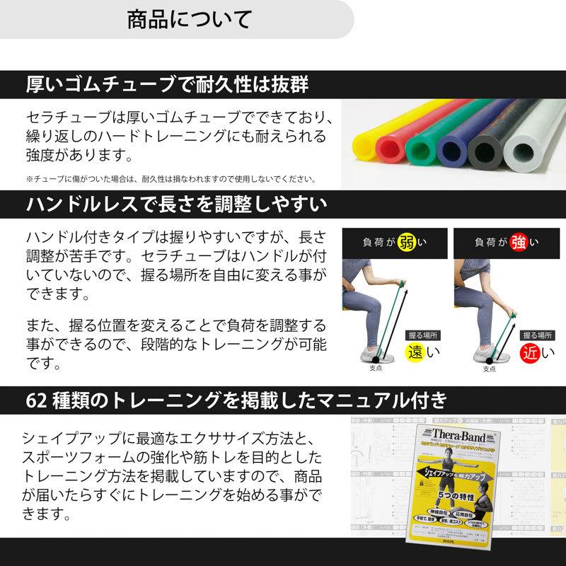 D＆M ディーアンドエム THERABAND(セラバンド) セラチューブ 30.4m 強度レベル+2 ブルー #TT-14の画像