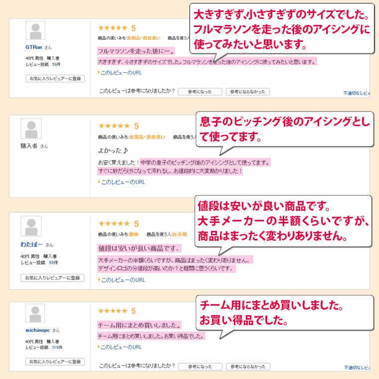 BODYMAKER ボディメーカー 　アイシングバッグ（氷嚢） 氷のう 応急処置 疲労回復 リハビリ 追跡 メール便送料無料 |  | 05