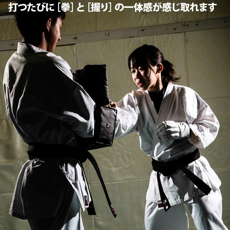 BODYMAKER ボディメーカー パンチンググローブＦ ＮＥＯ Ｊｒ ボクシング 格闘技　ボクシング 格闘技 キック トレーニング 総合格闘技 追跡 メール便送料無料 | BODYMAKER | 04