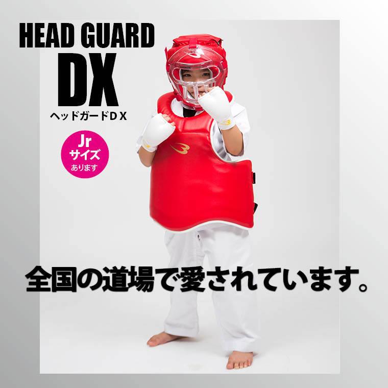 BODYMAKER ボディメーカー ヘッドガードDX 送料無料 格闘技