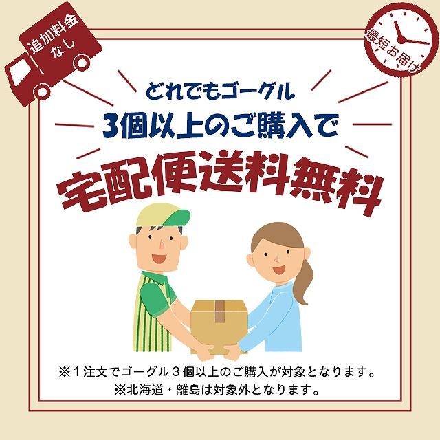 SWANS スワンズ  スイミング レーシング ゴーグル SRX-NPAF 水泳 競泳 FINA承認 日本製　メール便送料無料 | SWANS | 07