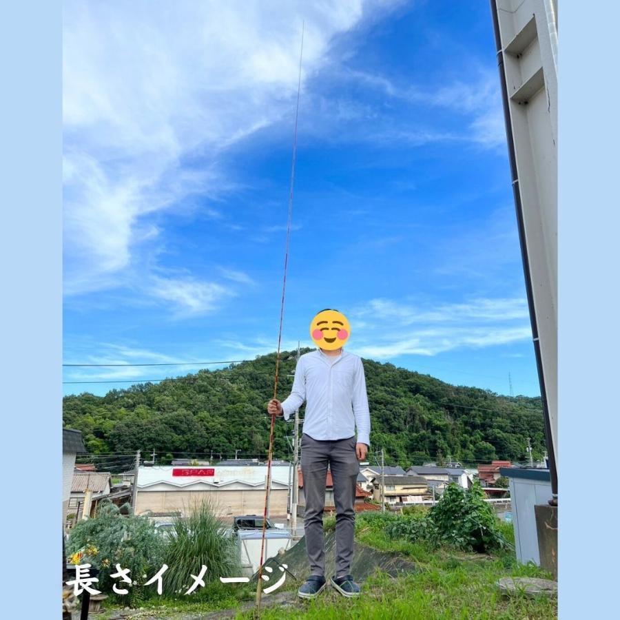 ヘラ竿 -逍遥- しょうよう ヘラブナ ロッド カーボン 約13尺 約3.9m