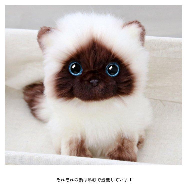 猫 人形 ぬいぐるみ かわいい 癒し いやし猫 マペット シャム猫 リアル プレゼント 本物みたいな おうち時間 自宅遊び ストレス緩和 彼女 誕生日 Stu 安心堂 Yahoo 店 通販 Yahoo ショッピング