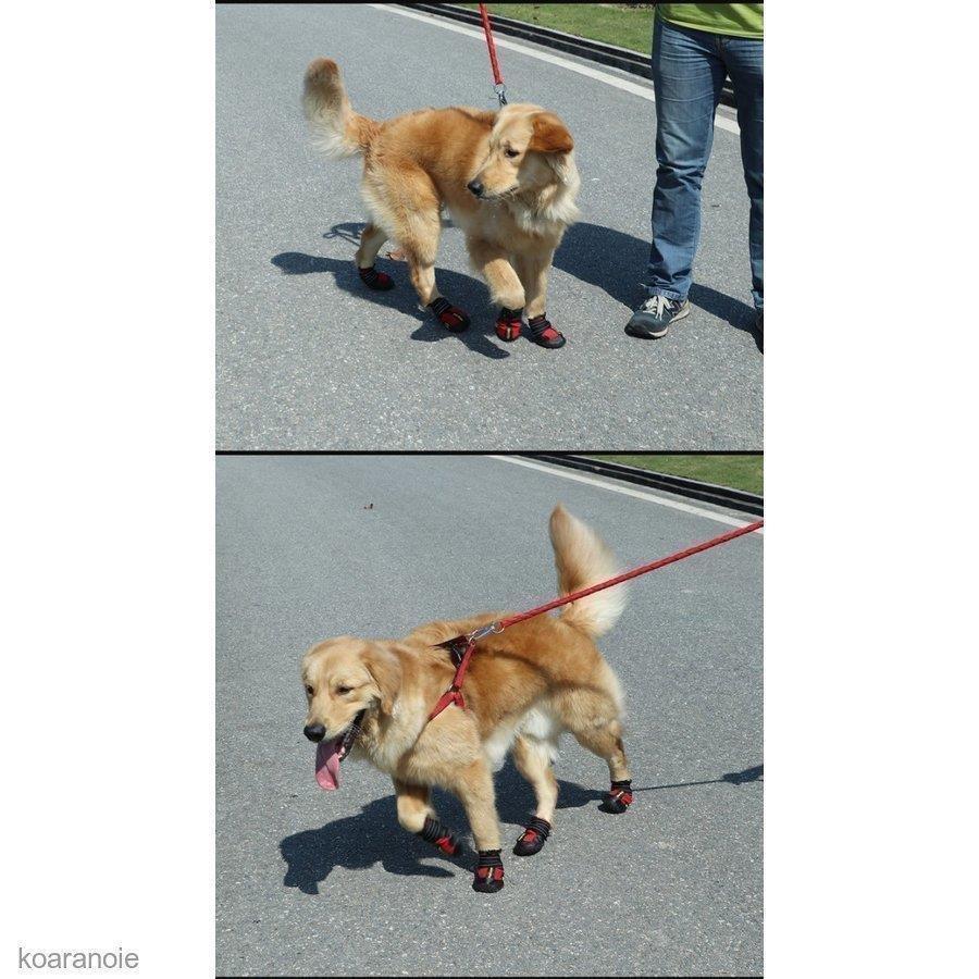 4足セット 犬 靴 ブーツ 犬用靴 ドッグシューズ おすすめ ドッグブーツ