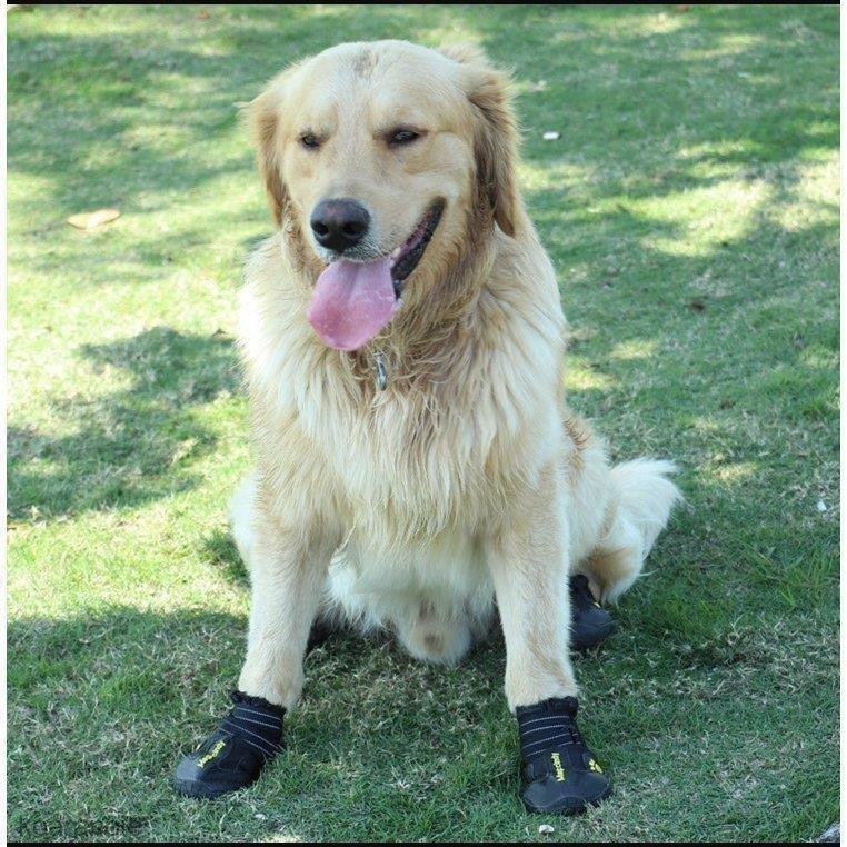 4足セット 犬 靴 ブーツ 犬用靴 ドッグシューズ おすすめ ドッグブーツ