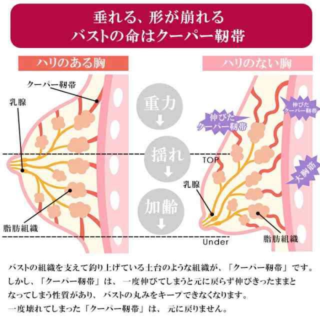 ブラジャー ショーツ セット 脇高でしっかり SNSで話題 ノンワイヤー 脇高 脇肉 盛れる 育乳 美胸 下着送｜stumsk0014｜03