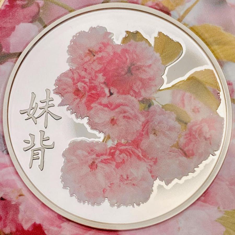 桜の通り抜けプルーフ貨幣セット２０１１年２０１２年 妹背 小手毬 桜の通り抜け2011プルーフ貨幣セット 妹背 平成23年 額面666円