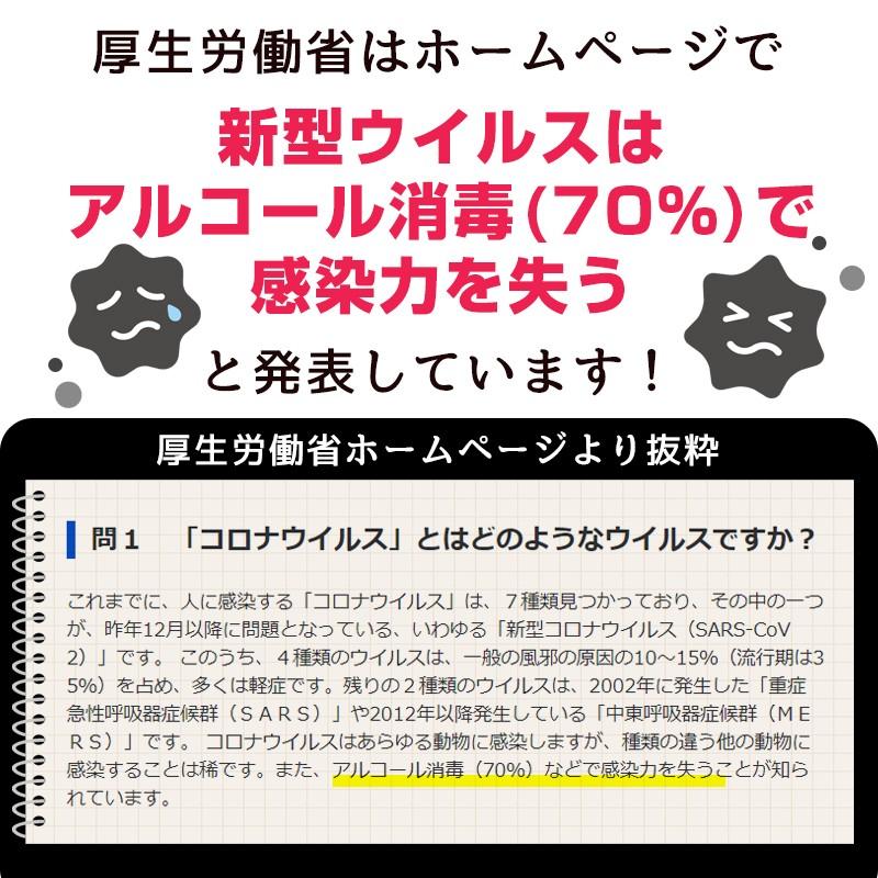 2本セット)アルコール70％以上 除菌ハンドジェル 500ml 試験報告書あり