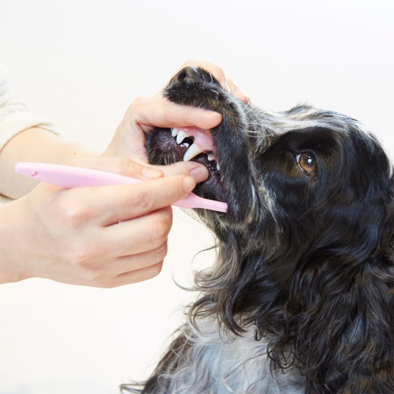 クリスタルジョイ 60g×3箱 犬用 猫用 歯磨きジェル 口腔ケア デンタルケア 口臭ケア 歯垢