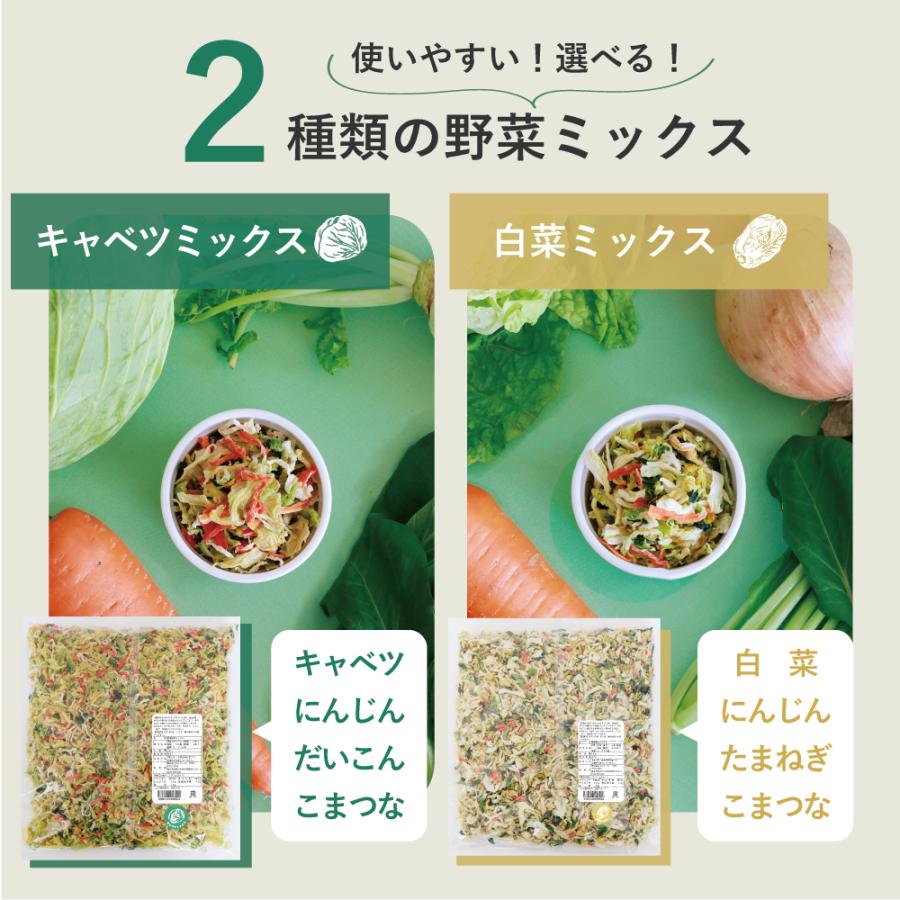 GREEN BASE（グリーンベース） 業務用 乾燥野菜 国産 DRYVEGETABLE 1kg