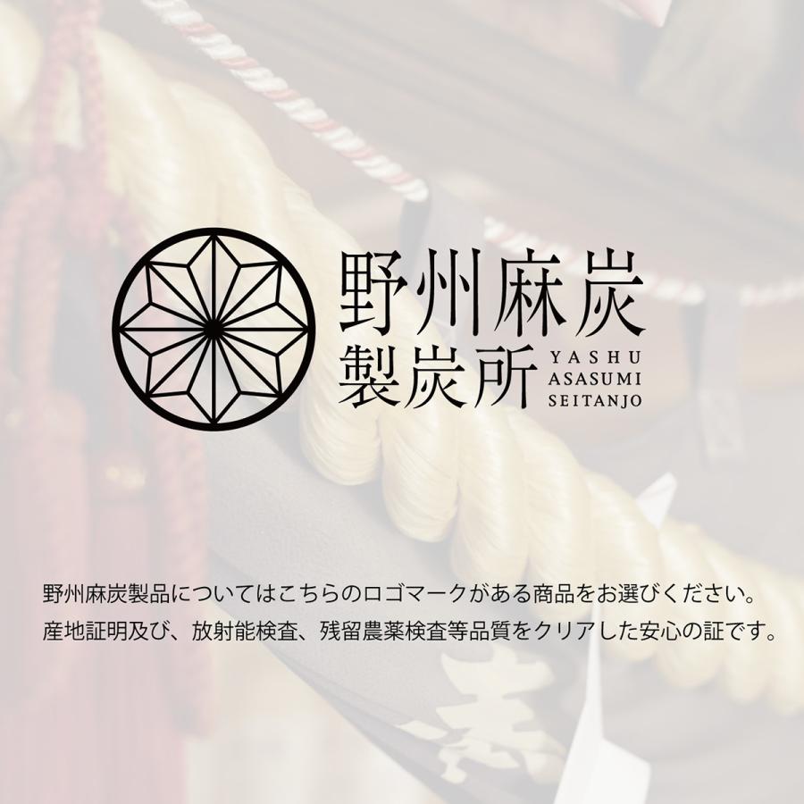 野州麻炭 100％麻炭パウダー30g 国産 bib Reset warter 無添加 食用