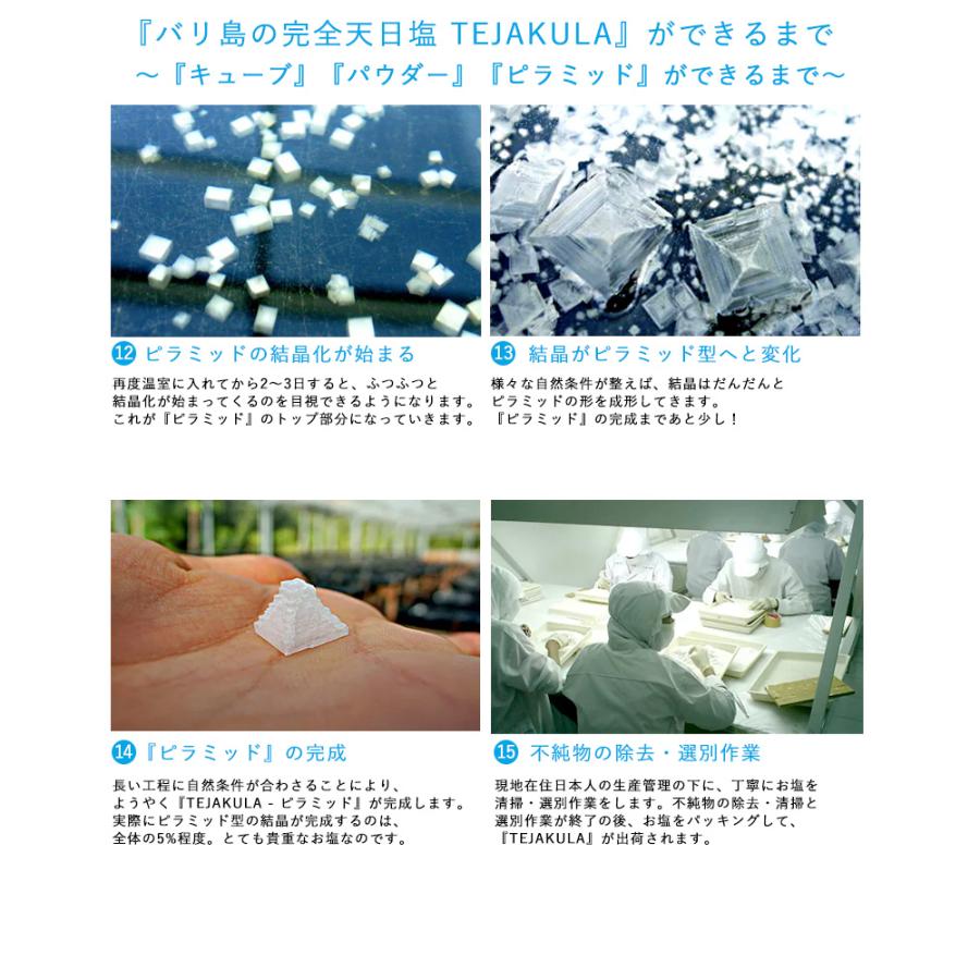 テジャクラ バリ島の完全天日塩 ピラミッドソルト7g バリ島の塩