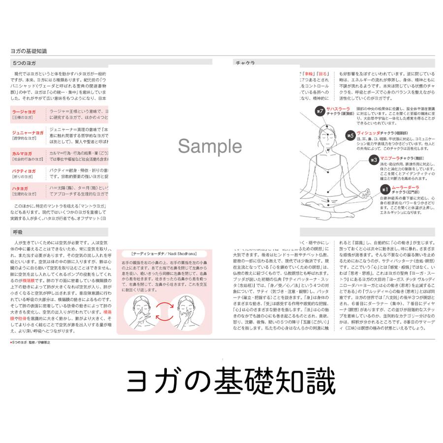 ヨガ手帳2024 単色 TYG ダイアリー 2024年1月はじまり スケジュール TOKYOYOGA サマビズム 無地 シンプル メール便送料無料｜style-depot｜17