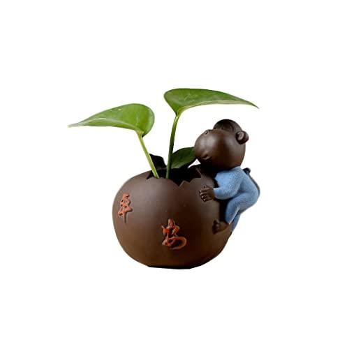 2026年最新】Yahoo!オークション - 植木(美術品)の中古品・新品・未
