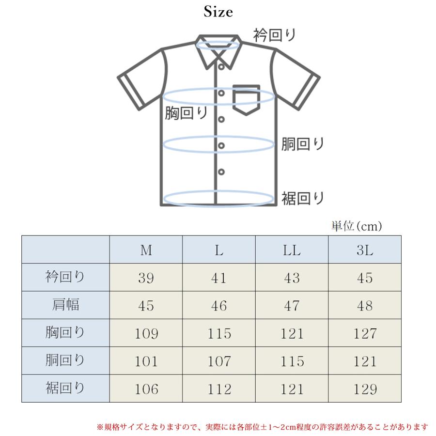 半袖 ワイシャツ ノーアイロン Yシャツ カッターシャツ ニット メンズ 5枚セット M L LL 3L 形態安定 白 青 ボタンダウン ドゥエボットーニ おしゃれ ブランド_2