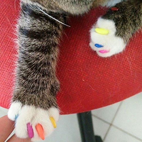 160個ペットネイルキャップ 猫の爪を飾るコントロールソフトキャップ 9種カラー色キットネイルキャップ 7種フ A B07bfpmxyf カピバラ本舗 通販 Yahoo ショッピング