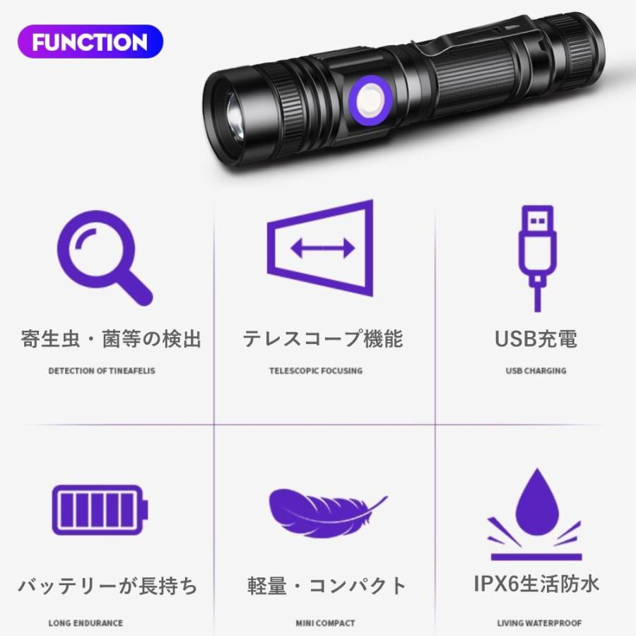 紫外線ブラックライト強力 UV LEDライト波長365nm C型USBアニサキス Amazon | 【2024モデル】Bizzico ブラックライト UVライト UV