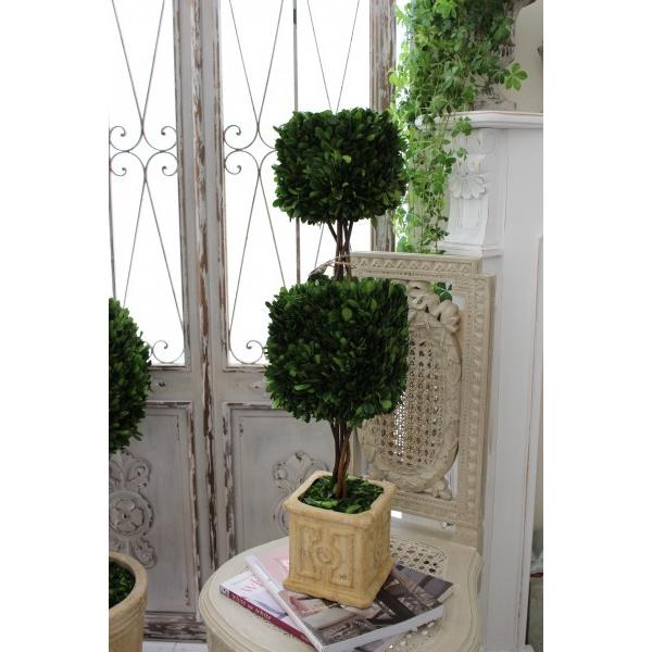 GMFS327○世界遺産屋久杉 大臣椅子 スツール 椅子 無垢材 伝統工芸 逸品