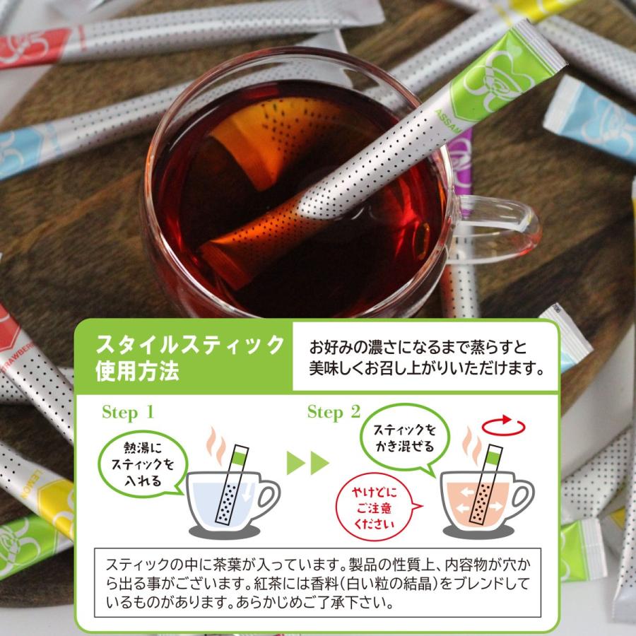 スタイルスティック お手軽カンタン くるっと混ぜるだけ 紅茶 ギフト クリアケース入 6箱セット 60杯分 タイプb 送料無料 817 1 Style Stick 通販 Yahoo ショッピング