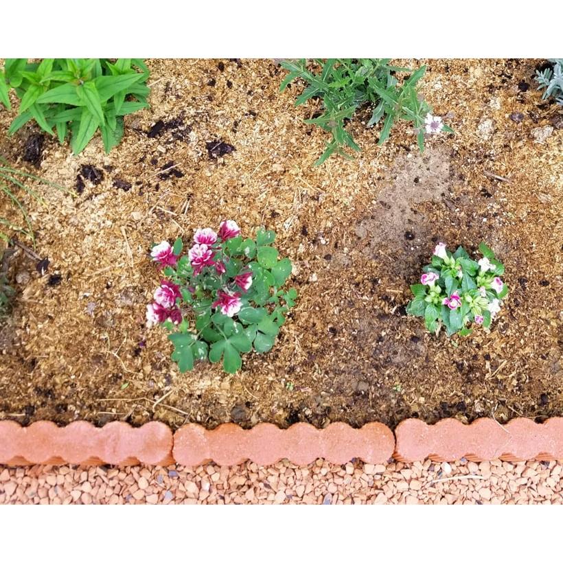 花壇 ブロック 置くだけ diy 庭 土留め 花壇ブロック ラインオレンジ 5