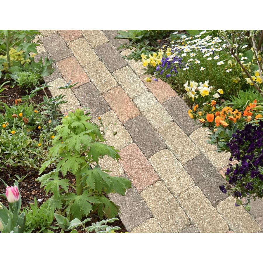 敷石 200個くらい？