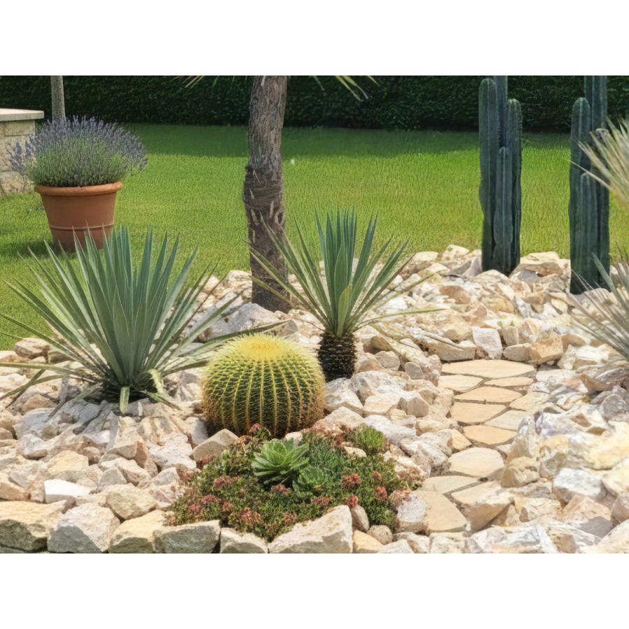 ロックガーデン 石 割栗石 クラッシュロック 庭石 大 ガーデン