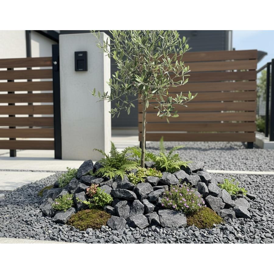 ロックガーデン　セット　庭石　石 石材　庭　ガーデニング Amazon.co.jp: ロックガーデン 石 庭石 割栗石 庭 ガーデニング