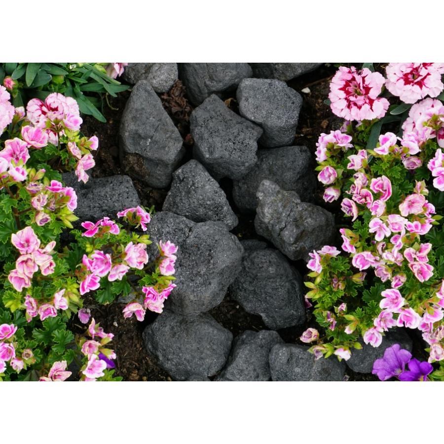 庭石　溶岩　浅間溶岩石　岩　ドライガーデン　エクステリア 浅間 溶岩石 庭石 石 庭 ガーデニング ロックガーデン ドライガーデン