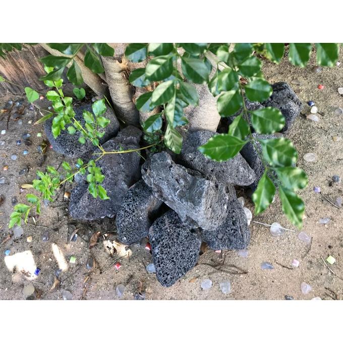 溶岩石 庭石 黒 庭 石 自然石 ロックガーデン ガーデニング ドライ