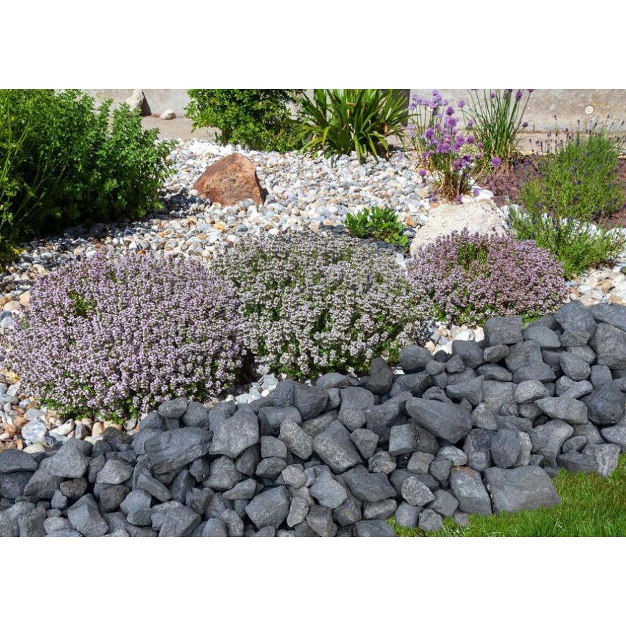 ロックガーデン 石 割栗石 黒 庭石 リアルブラック 20kg 割 栗石 大 庭