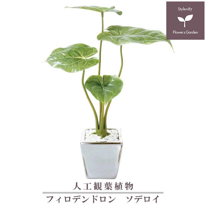 観葉植物 フェイクグリーン フィロデンドロンソデロイ Gla 1172 造花 おしゃれ インテリア アートフラワー鉢花 こちらの商品は造花となります Robertoortiz Com Co