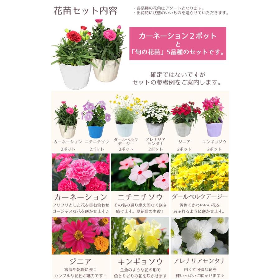 母の日 プレゼント 季節の花苗 カーネーション入り 12ポット 寄せ植えセット 5月8日 フラワーギフト 送料無料 沖縄 離島を除く Haha 17 05 Style1187 通販 Yahoo ショッピング