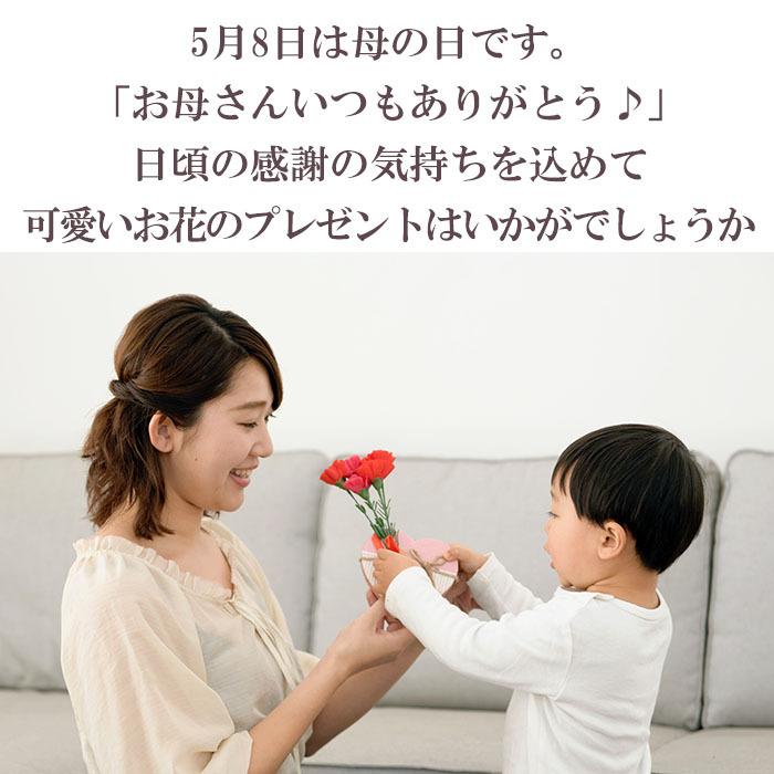 母の日 プレゼント 花 ラベンダー５号 ブリキバスケット 5月9日 鉢花 フラワーギフト 送料無料 沖縄 離島を除く Haha 18 09 Style1187 通販 Yahoo ショッピング