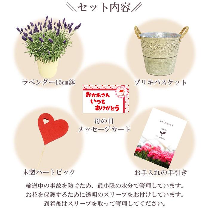 母の日 プレゼント 花 ラベンダー５号 ブリキバスケット 5月9日 鉢花 フラワーギフト 送料無料 沖縄 離島を除く Haha 18 09 Style1187 通販 Yahoo ショッピング