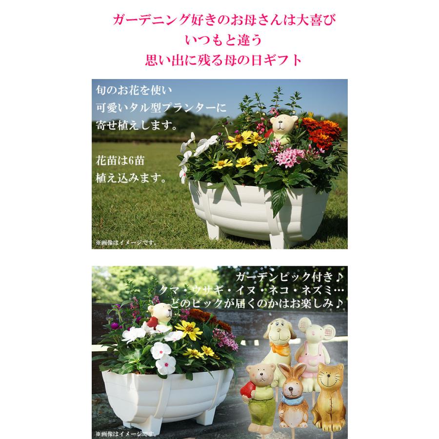 母の日 プレゼント 花 寄せ植え タル型鉢 白 5月9日 鉢花 フラワーギフト 送料無料 沖縄 離島を除く Haha 06 Style1187 通販 Yahoo ショッピング