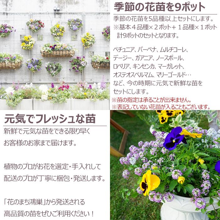 花苗 春 セット 12ポット＋寄せ植えセット おしゃれな寄せ植えが簡単に