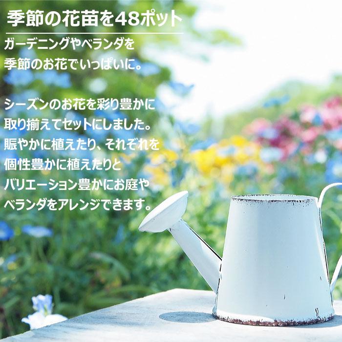 花苗 夏セット 季節の花苗おまかせ48ポット ガーデニング 花壇 送料