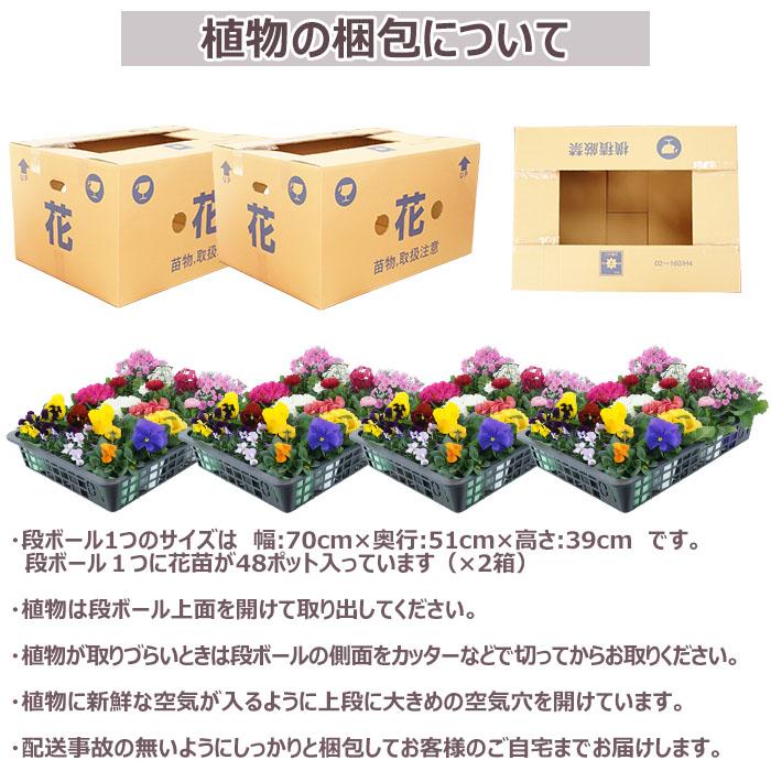 ☆お花☆様 リクエスト 9点 まとめ商品 花苗 春夏 セット 季節の花苗おまかせ96ポット ガーデニング 花壇 送料