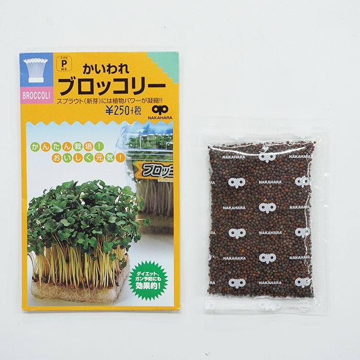 スプラウト 種 かいわれブロッコリー 話題のタネを送料無料でご自宅までお届け！ :supu-001:STYLE1187 - 通販 -  Yahoo!ショッピング