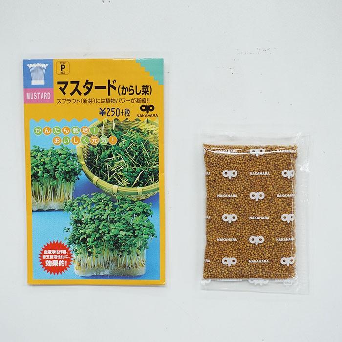 スプラウト 種 マスタード からし菜 話題のタネを送料無料でご自宅までお届け Supu 010 Style1187 通販 Yahoo ショッピング