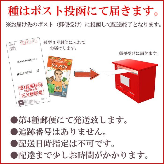 野菜のタネ ジェノバ バジル イタリアの珍しい種を送料無料でお届け Tane 014 Style1187 通販 Yahoo ショッピング