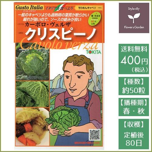 1000円ポッキリ 野菜のタネ キャベツセット イタリアの珍しい野菜のタネ3種類を送料無料でお届け Tane 036 Style1187 通販 Yahoo ショッピング