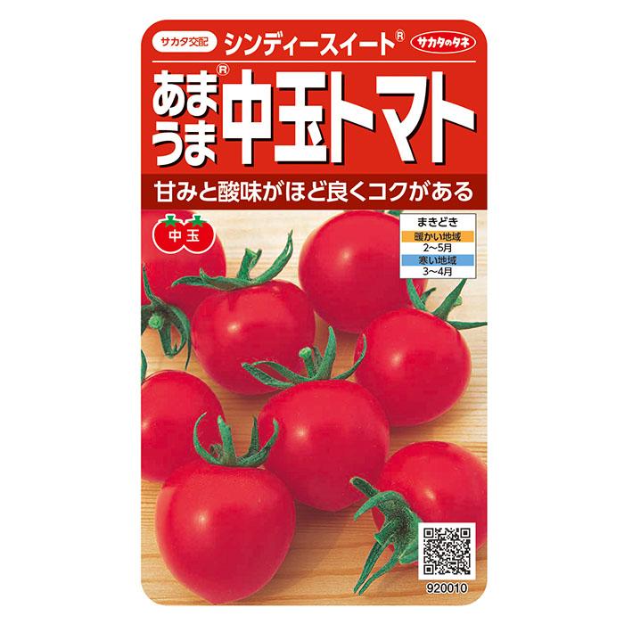 野菜の種 実咲野菜0010 あまうま中玉トマト（赤） シンディー