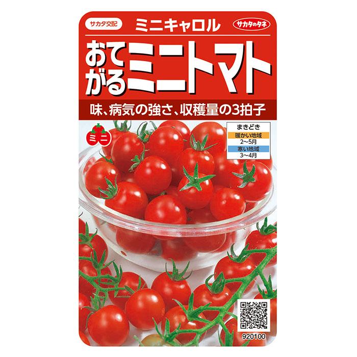 野菜の種 実咲野菜0100 おてがるミニトマト ミニキャロル : STYLE1187
