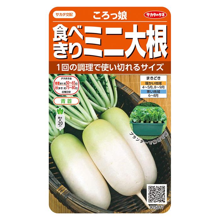 野菜の種 実咲野菜5017 食べきりミニ大根 ころっ娘 : STYLE1187 - 通販