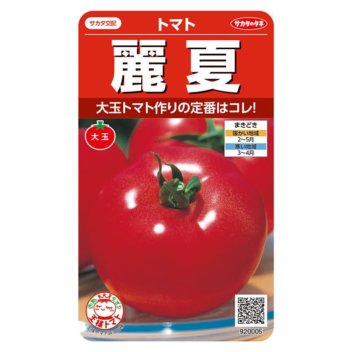 野菜の種 実咲野菜0005 大玉トマト 麗夏 : STYLE1187 - 通販 - Yahoo