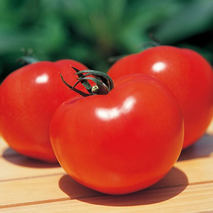 野菜の種 実咲野菜0005 大玉トマト 麗夏 : STYLE1187 - 通販 - Yahoo