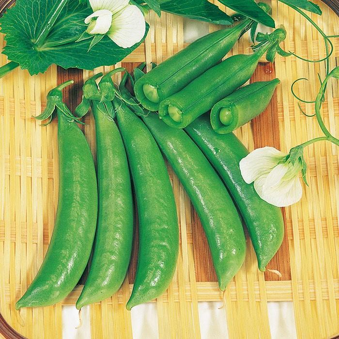 野菜の種 実咲野菜7170 あまうまスナックエンドウ スナック
